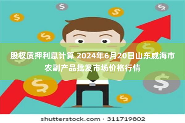 股权质押利息计算 2024年6月20日山东威海市农副产品批发市场价格行情