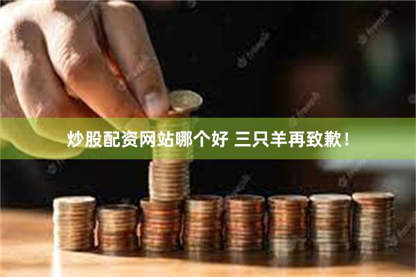 炒股配资网站哪个好 三只羊再致歉！