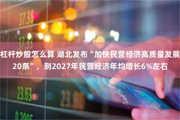 杠杆炒股怎么算 湖北发布“加快民营经济高质量发展20条”，到2027年民营经济年均增长6%左右