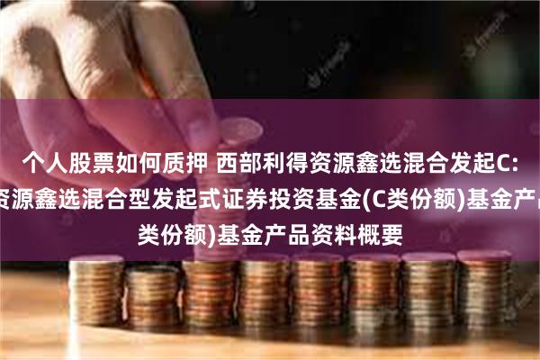 个人股票如何质押 西部利得资源鑫选混合发起C: 西部利得资源鑫选混合型发起式证券投资基金(C类份额)基金产品资料概要