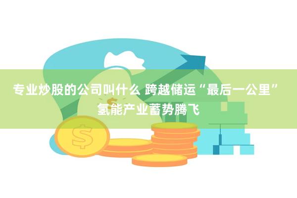 专业炒股的公司叫什么 跨越储运“最后一公里” 氢能产业蓄势腾飞