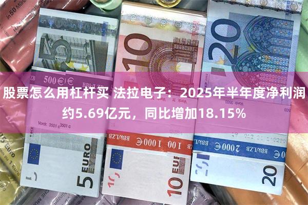 股票怎么用杠杆买 法拉电子：2025年半年度净利润约5.69亿元，同比增加18.15%