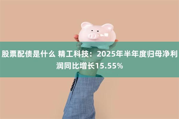 股票配债是什么 精工科技：2025年半年度归母净利润同比增长15.55%