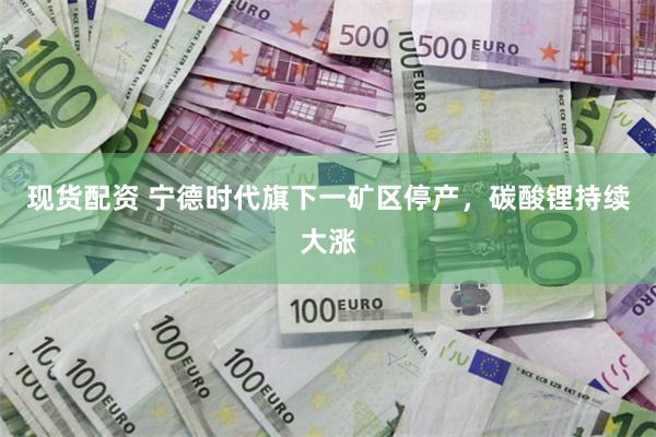 现货配资 宁德时代旗下一矿区停产，碳酸锂持续大涨