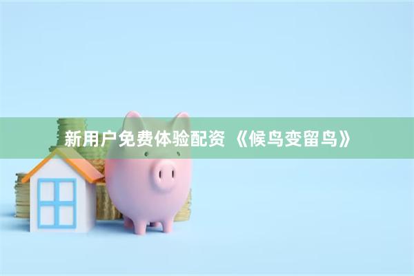 新用户免费体验配资 《候鸟变留鸟》